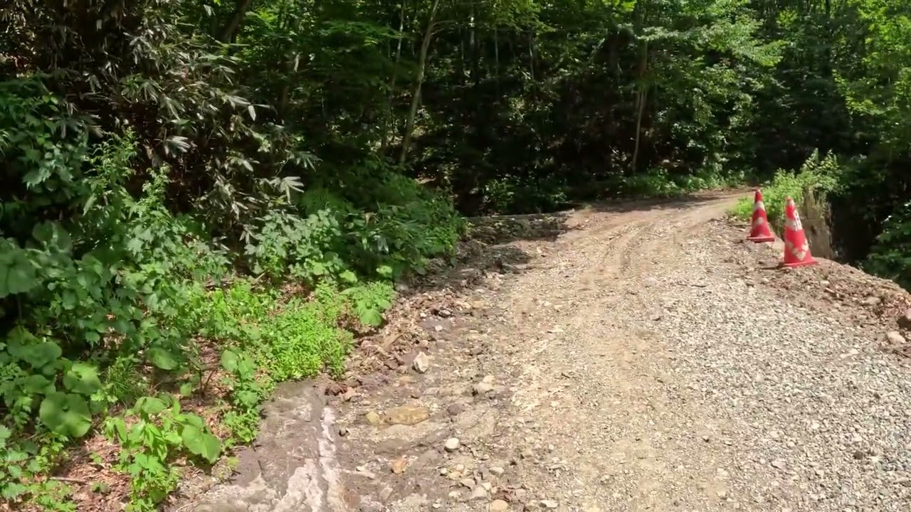 20230805真昼岳林道秋田側登り