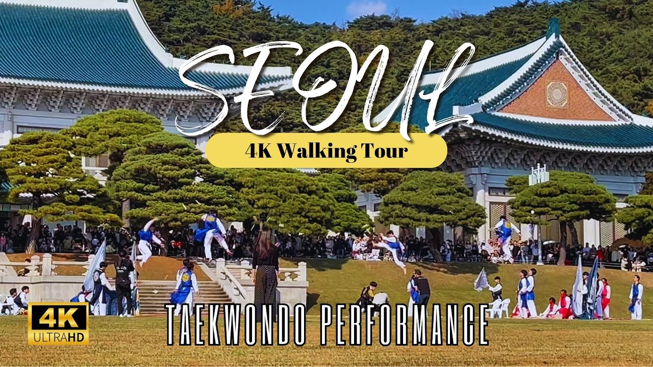 Taekwondo performance: '2024 Great Taekwondo in Cheongwadae' 위대한 태권도 IN 청와대