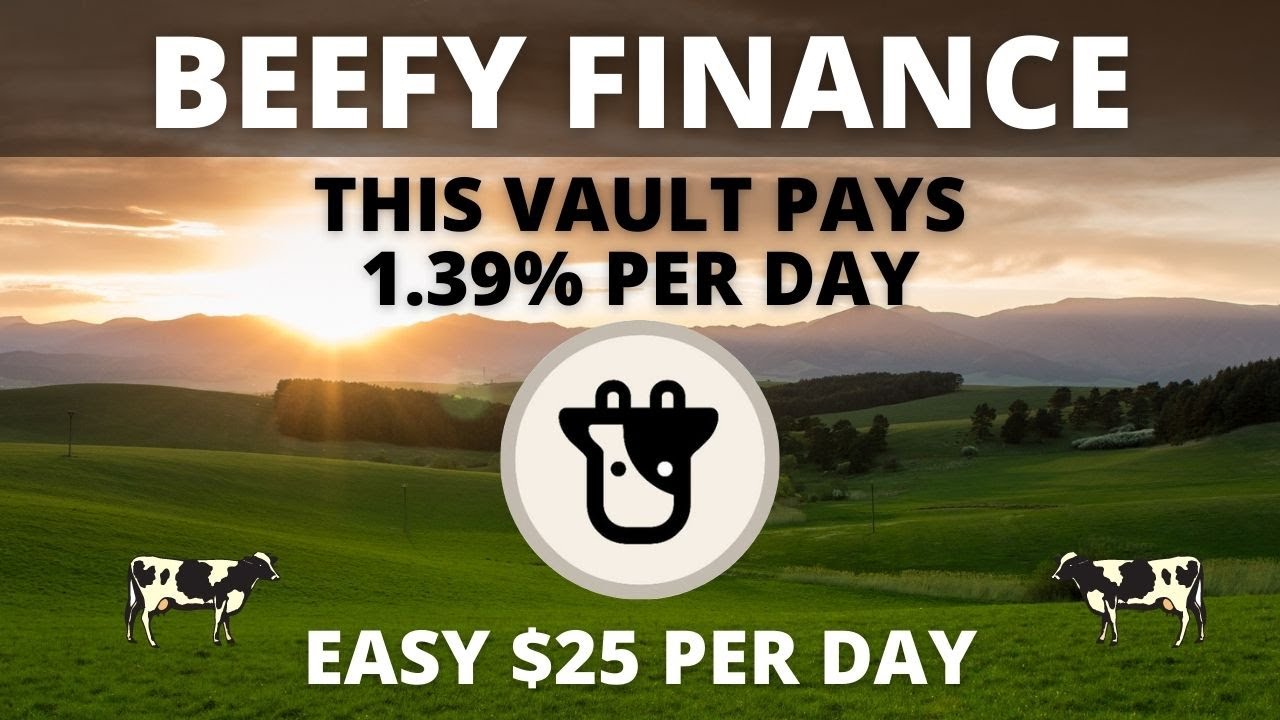 How to Make an EASY $25/Day on Beefy Finance (BEGINNERS)