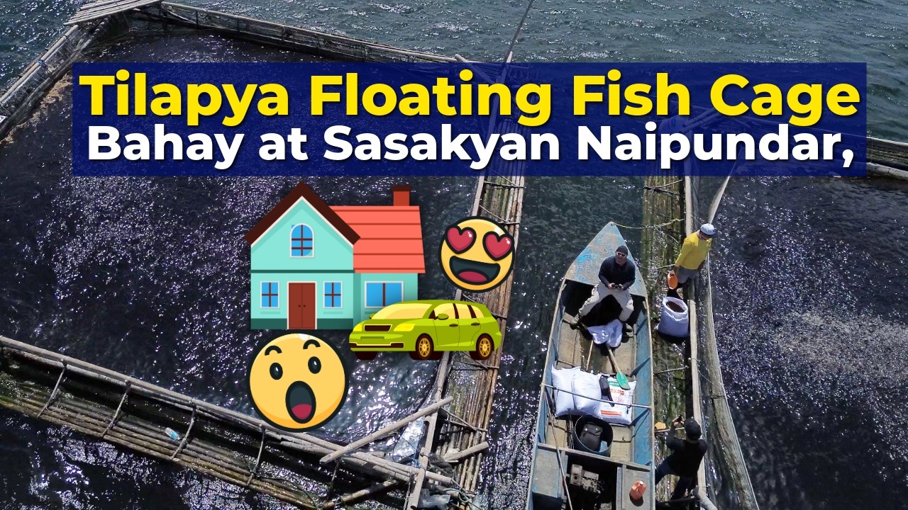 8-9 Tons ng Tilapya/Cage,  Floating Fish Cage