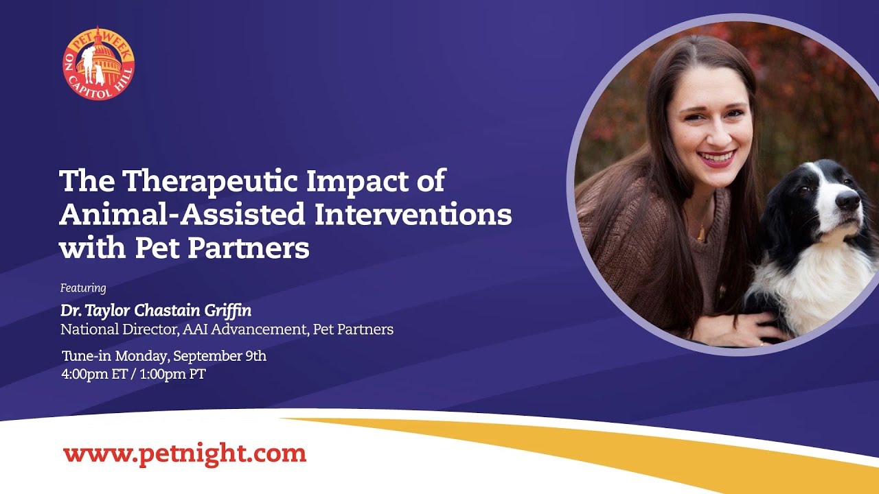 The Therapeutic Impact of Animal-Assisted Interventions with Pet Partners