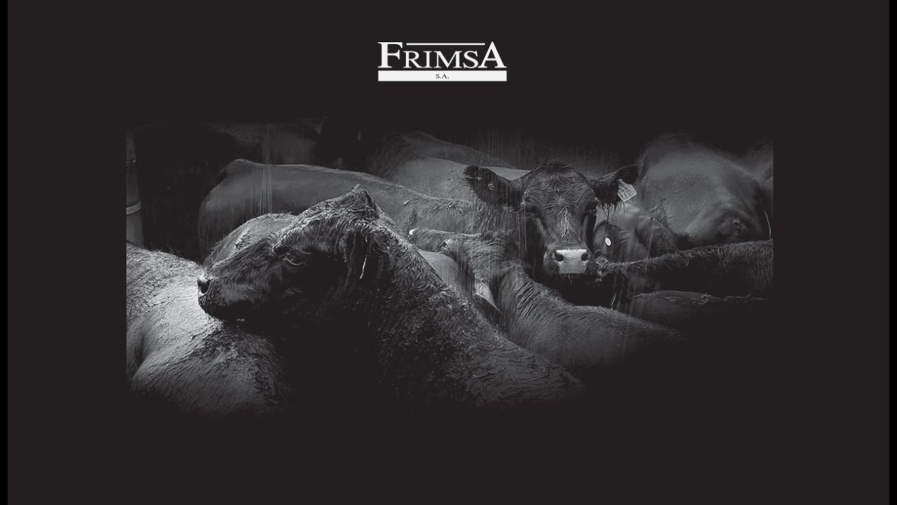 Frigorifico FRIMSA S.A