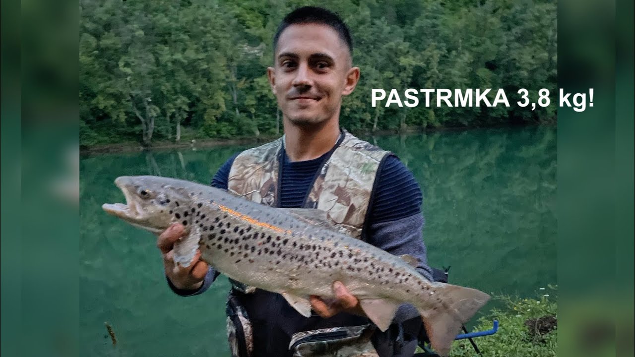 Pecanje na Drini, plotice i neočekivan ulov!