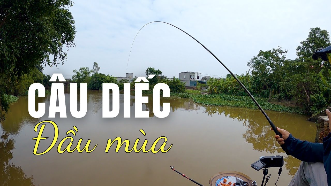 Thử Thách Câu Cá Diếc Ở Độ Sâu 4m Tại Cống 3 Cửa Bắc Hải, Tiền Hải