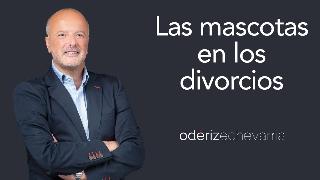 Las mascotas en los divorcios | Odériz Echevarría Abogados