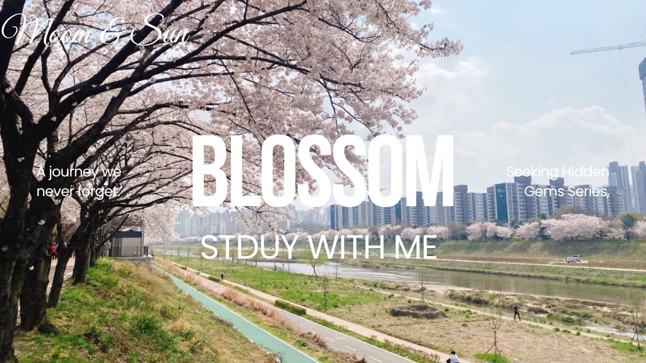 Korean Spring Music | Cherry Blossom Walk | Babbling Brook & Birds Ambience | Study with Me