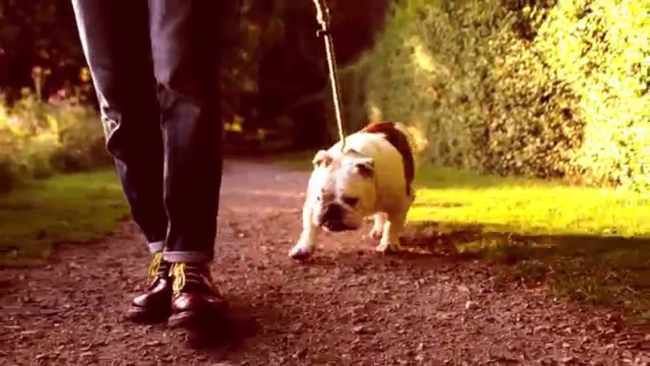 Dave Hanson - BLIND FAITH (Official Video)