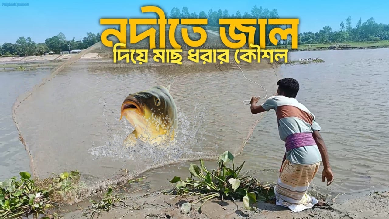 Most Satisfying Cast Net Fishing Video