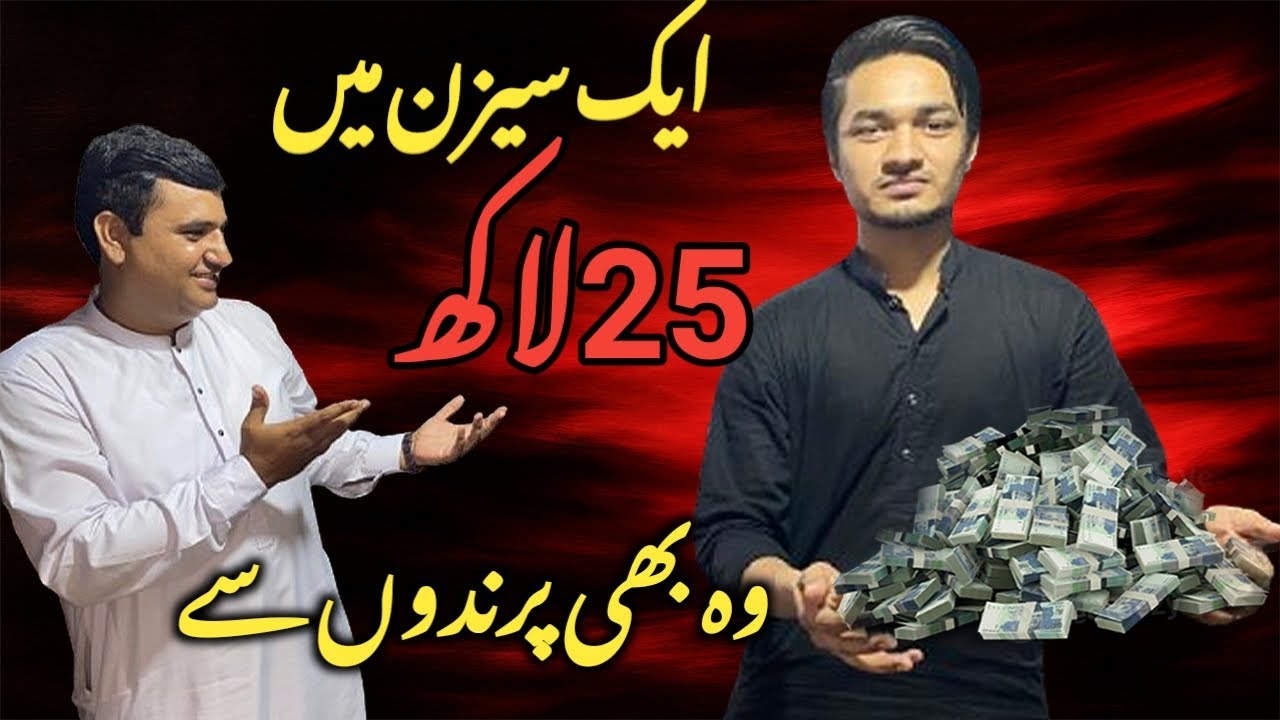 Birds Ke Business Se Ek Season Me 2.5 Million Kamaye Kitne Logo Ko Loota ? Sab Is Practical Video Me