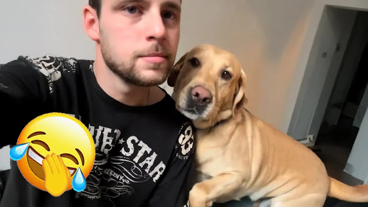 The Funniest DOGS on the Internet 🦮 Super Funny Dog Video 🍬 #funnycats #funniestanimals #funnydogs