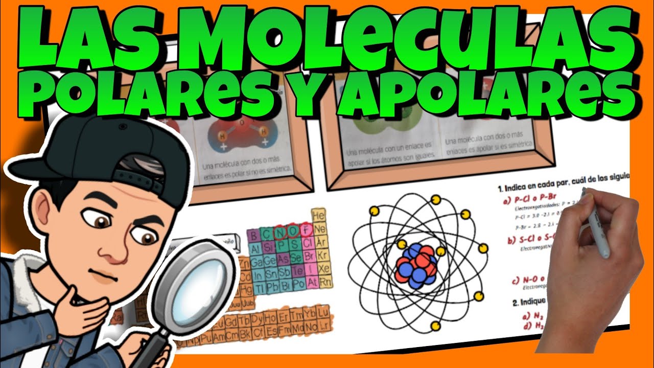 🔎 C&oacute;mo IDENTIFICAR y DIFERENCIAR mol&eacute;culas POLARES y APOLARES