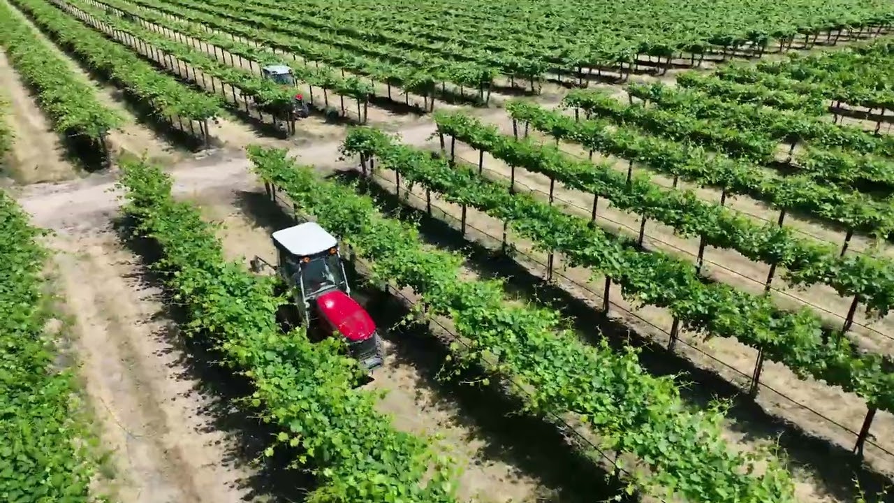 Precision From Above | Massey Ferguson Tractor Working Vineyard Rows
