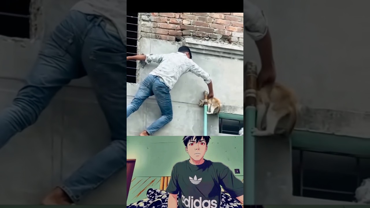 Life Saving Act By People - Heart Touching Video - Kindness Shorts 