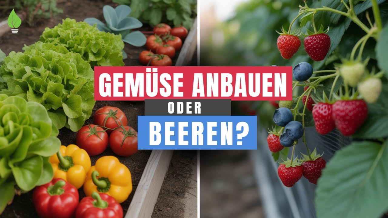 🥦Top 29 Gemüse & Stauden für ewige Ernte! Omas Geheimtipp🔥