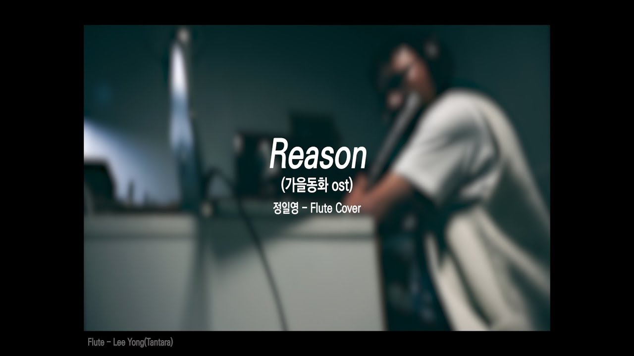 [MUSIC]ㅣReasonㅣ가을동화OSTㅣFlute Coverㅣ