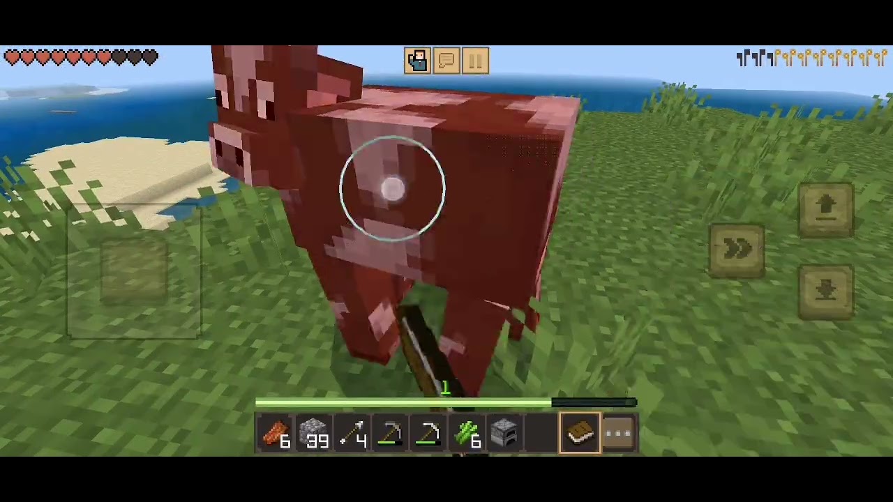Parte 4 