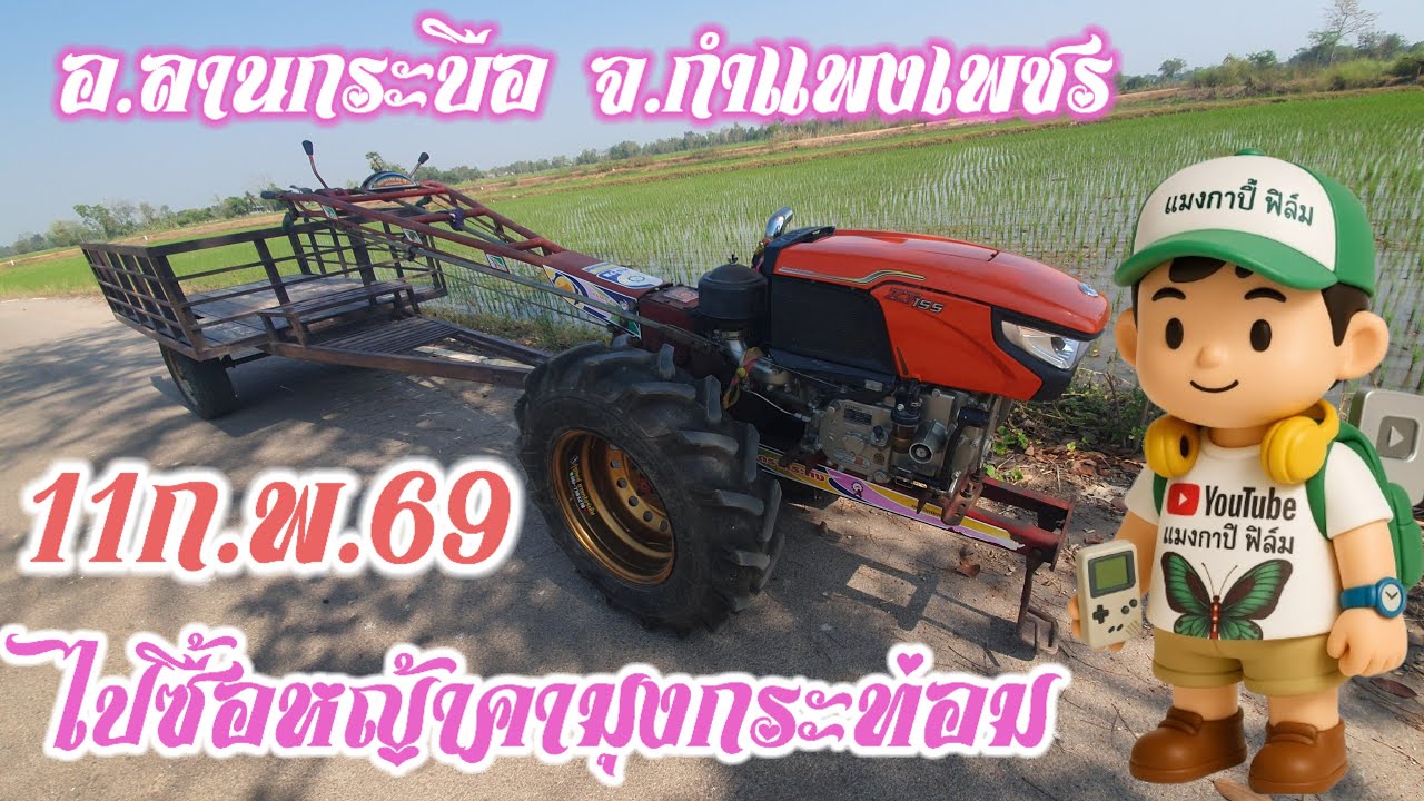 บัตเตอร์ฟลาย ฟิล์ม กำลังถ่ายทอดสด! แมงไปซื้อหญ้าคามามุงกระท่อม