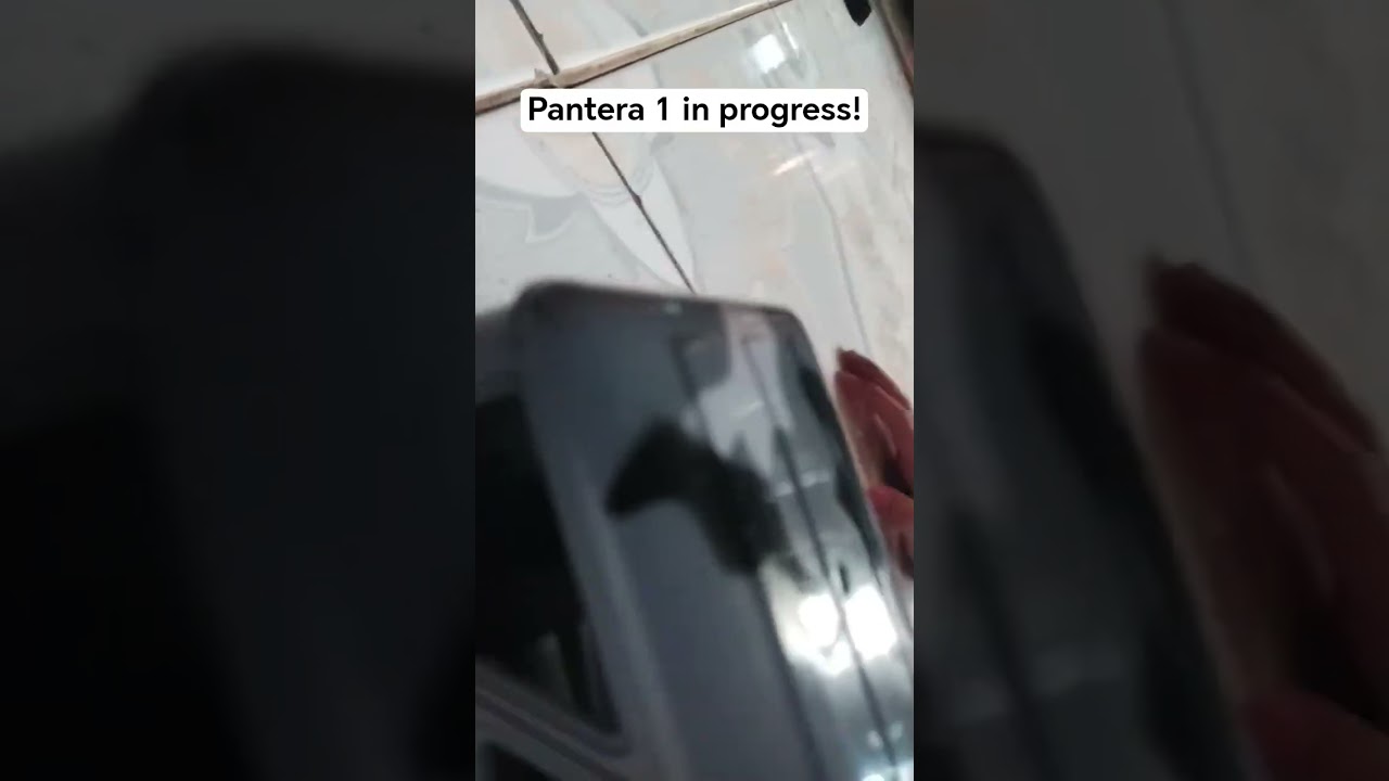 Pantera 1 in progress