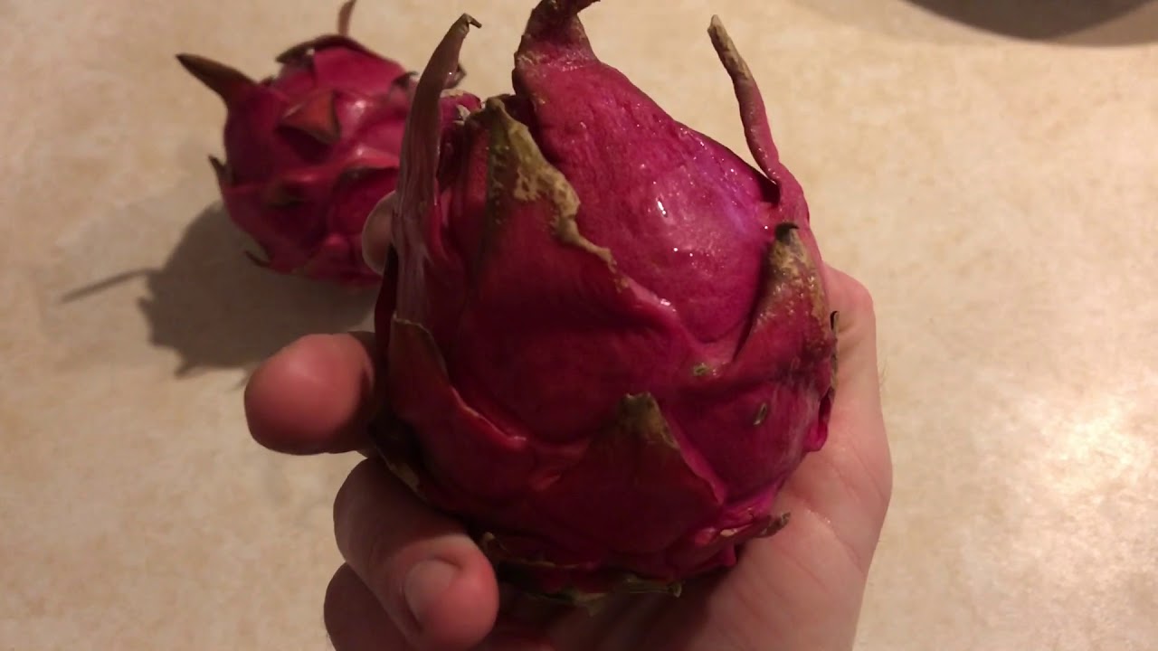How to Pick Ripe Dragon Fruit