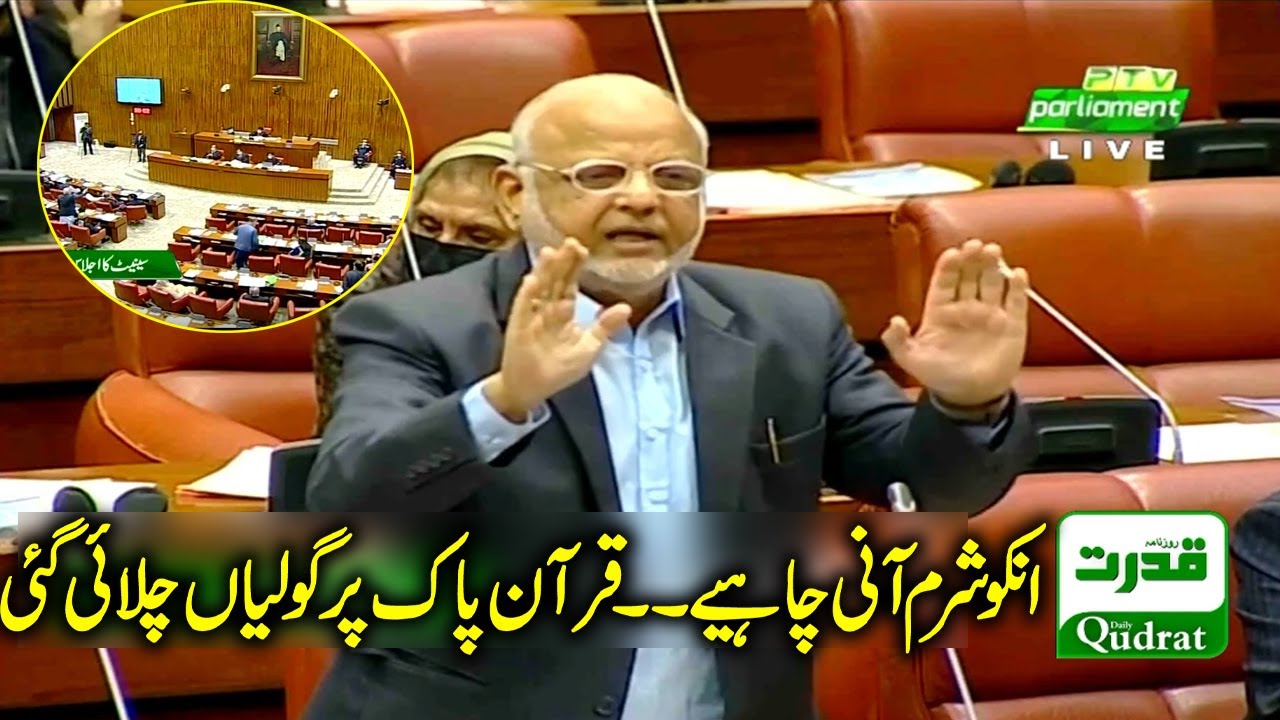 PTI Ejaz Chudray Angry Speech in Senate of Pakistan on Larkana Sindh incident | 8 November 2021