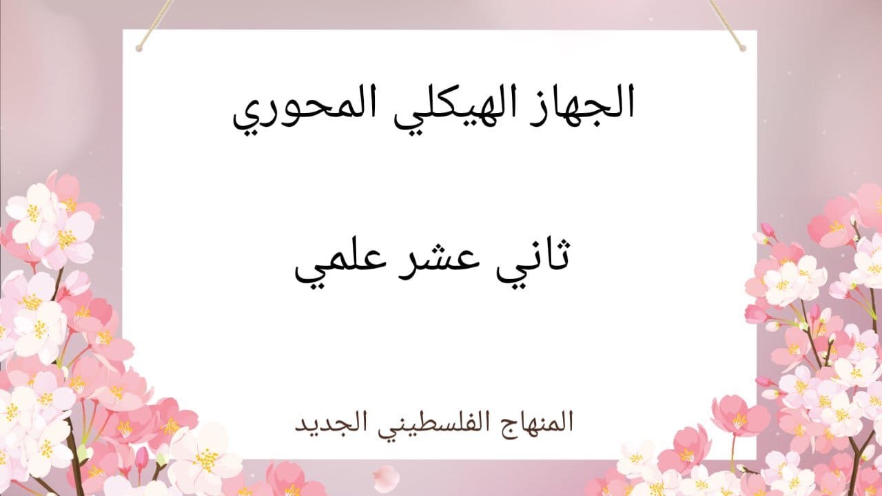 الجهاز الهيكلي المحوري