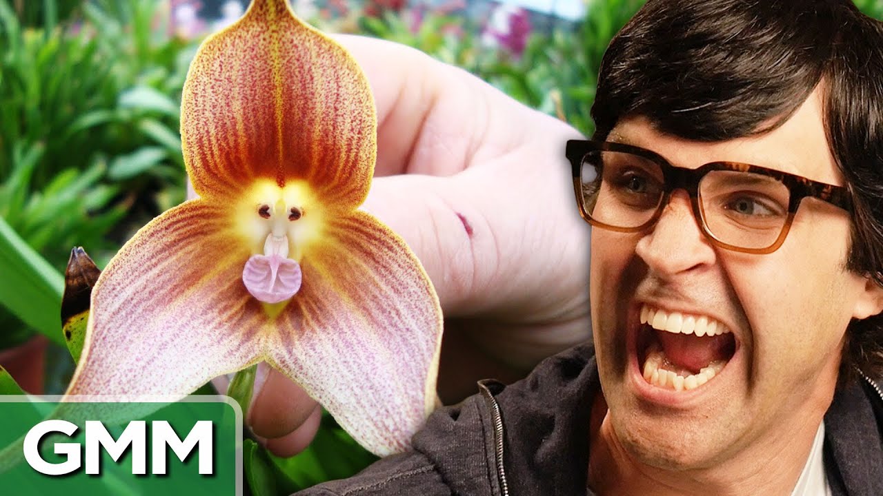Scariest Plants on Earth