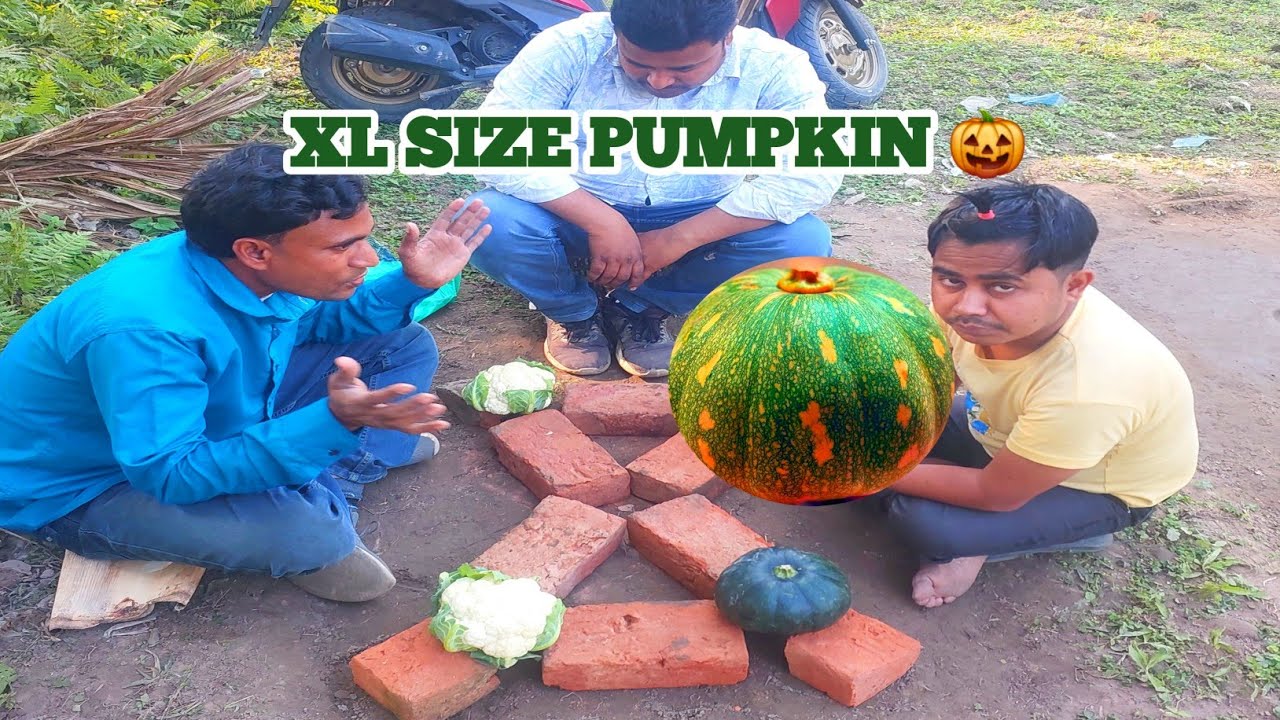 Cauliflower v/s XL Pumkin  // Traditional outdoor games activity | Wow Whats a big pumpkin? 