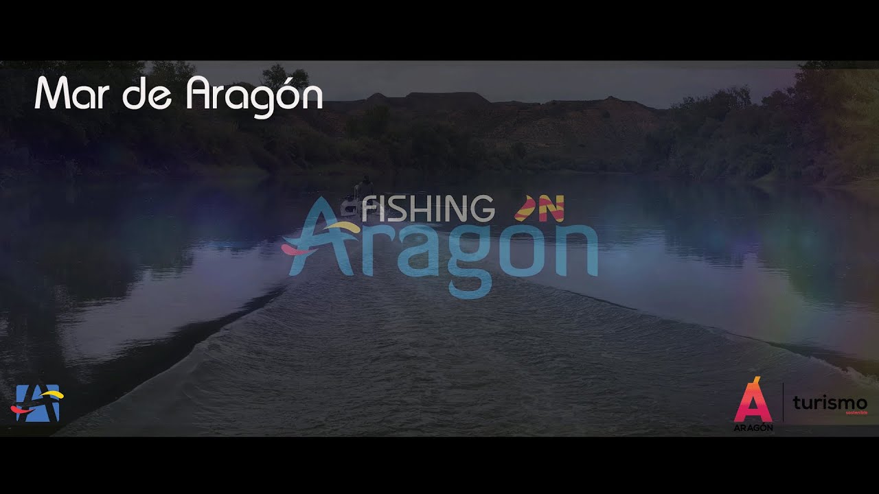 Mar de Arag&oacute;n - Fishing in Arag&oacute;n