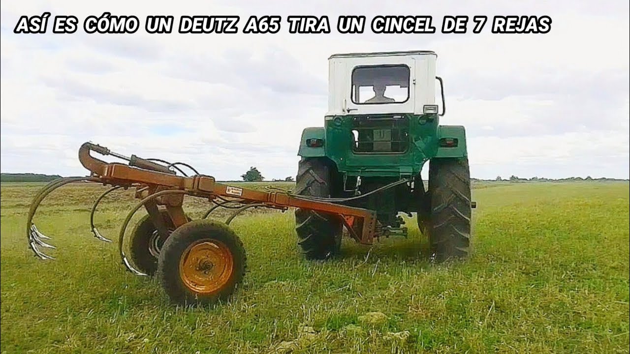 Preparando LOTE para sembrar SORGO FORRAJERO
