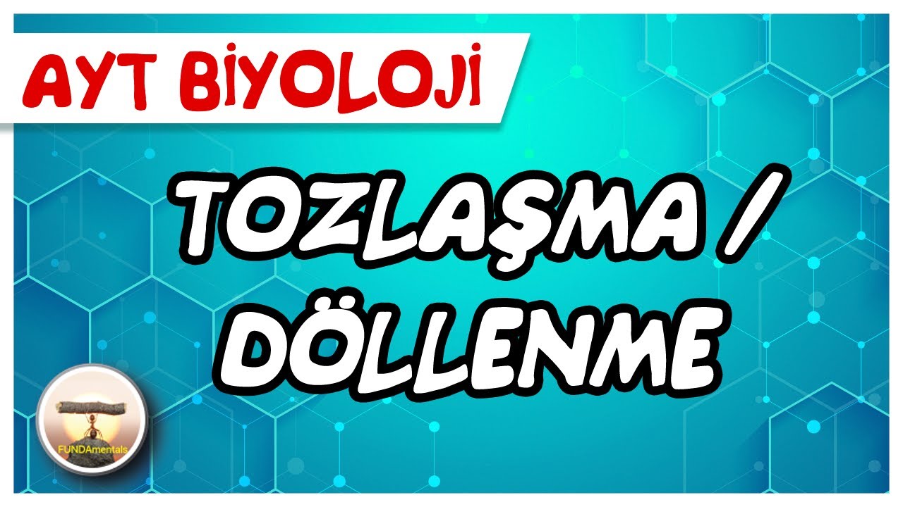 AYT Biyoloji | Tozlaşma / Döllenme #sayfa210