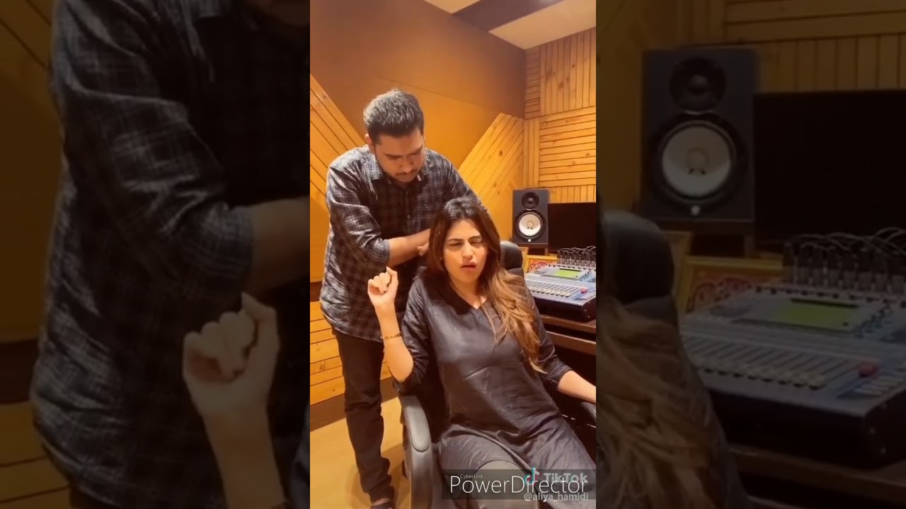 Shahnaz gill big boss13 funny tiktok videos