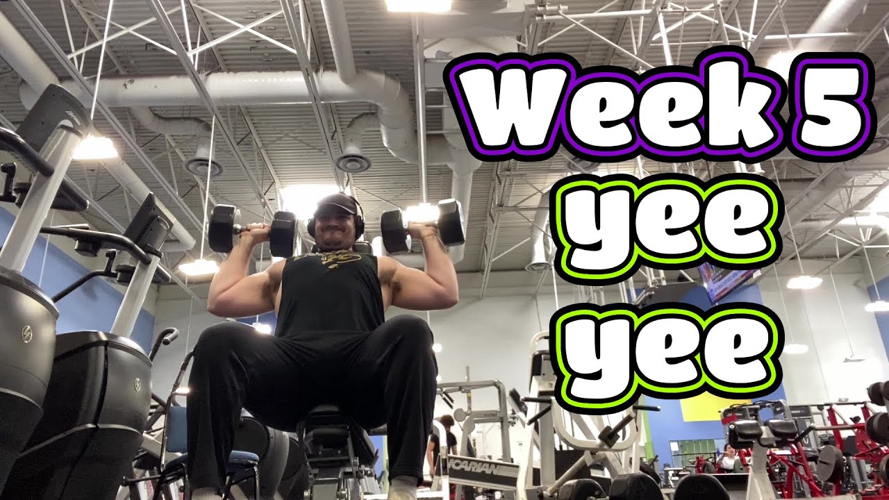 THE CUT💪 - Week 5 (Training/Diet Series)