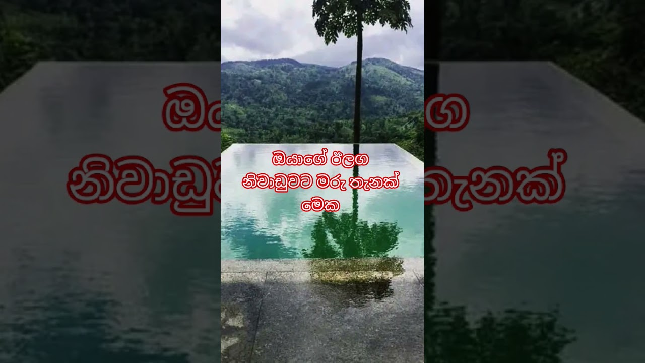ඔයාගේ ඊලග නිවාඩුව plan කරන්න පට්ටතැනක් #sinharaja #weddagala#lifeisbutadream #music Tel:0759596161