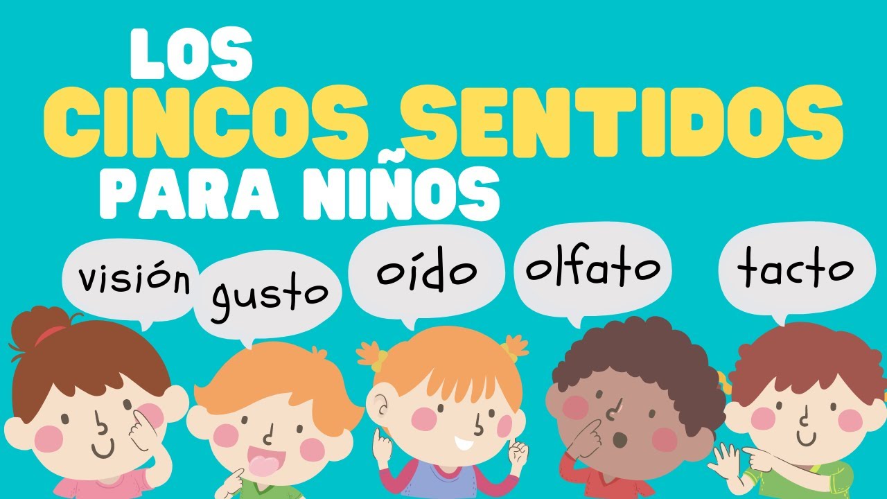 Los cinco sentidos para niños | Aprende todo sobre los 5 sentidos para niños