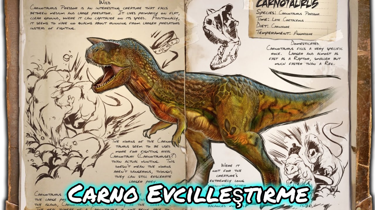 Boynuzlu...|Carno Evcileştirme|ARK:Ultimate Survival Edition 