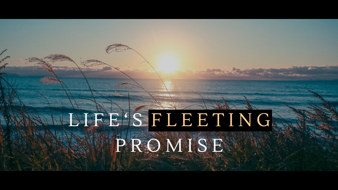 Life's Fleeting Promise ♫
