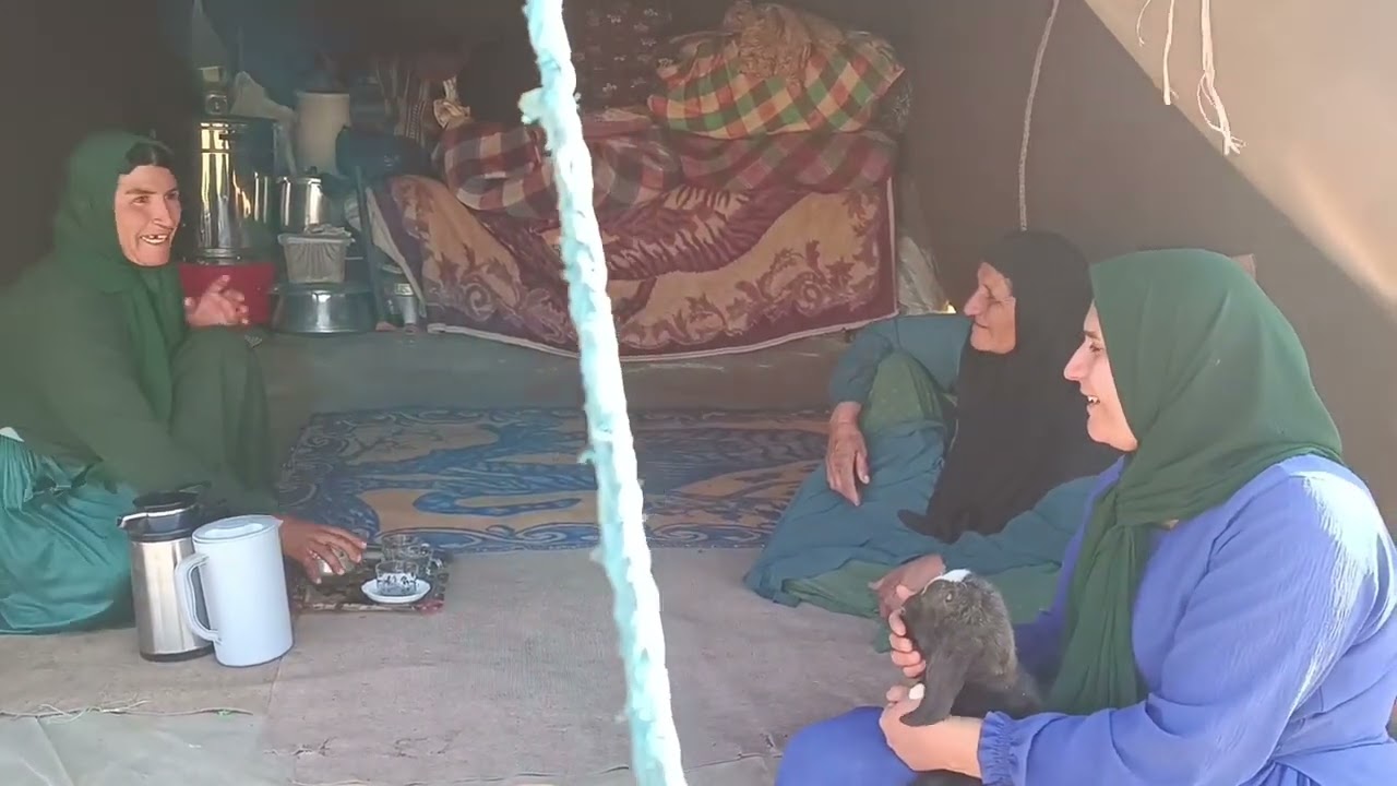 A Miracle in the Heart of the Mountain: Rezvaneh and Shahpasand, Saviors of the Lost Lamb!
