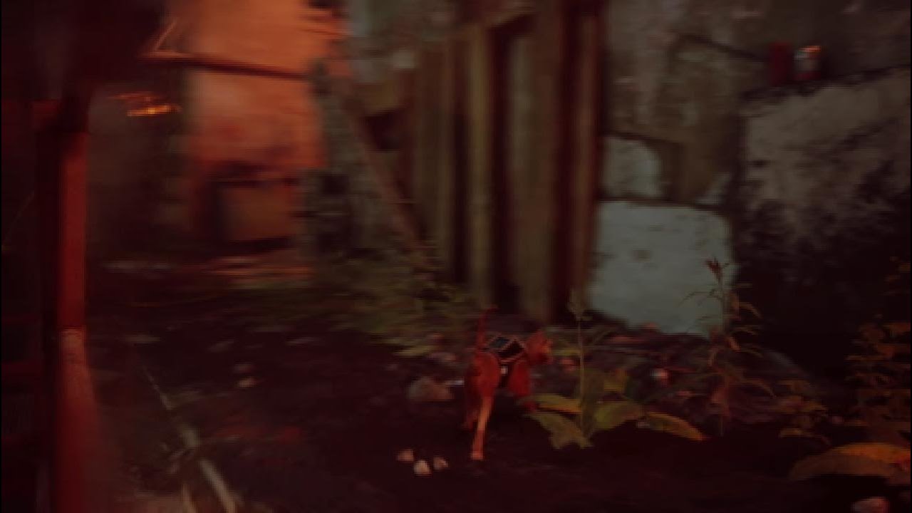 (STRAY) Gameplay - New PS5
