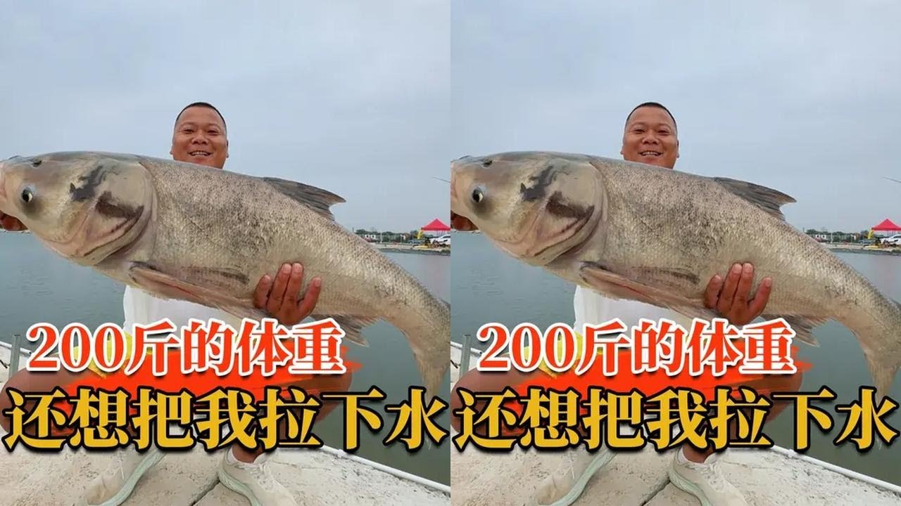 每个老板都说塘里有大货，看我怎么把它搞上来 #原来钓鱼才是抖音运动顶流 #dou是钓鱼人 #2025dou来钓鱼