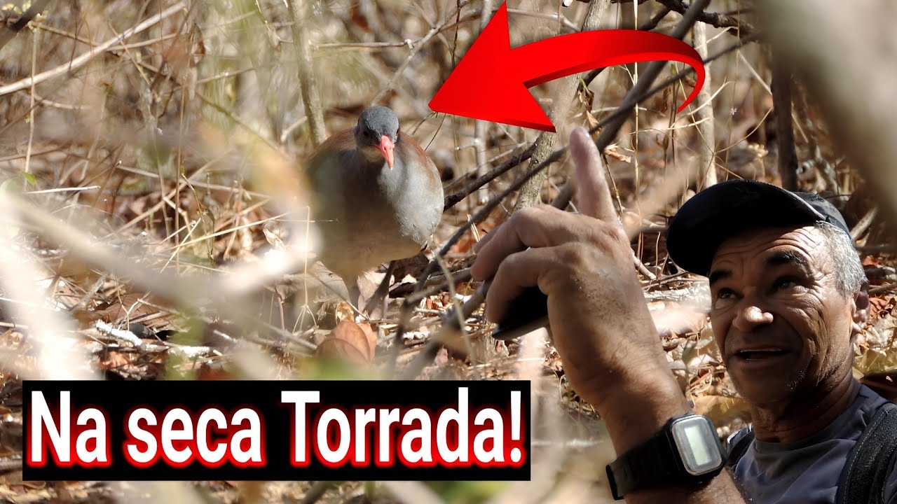 Na Caatinga SECA a LAMBU Veio Defender Território! 