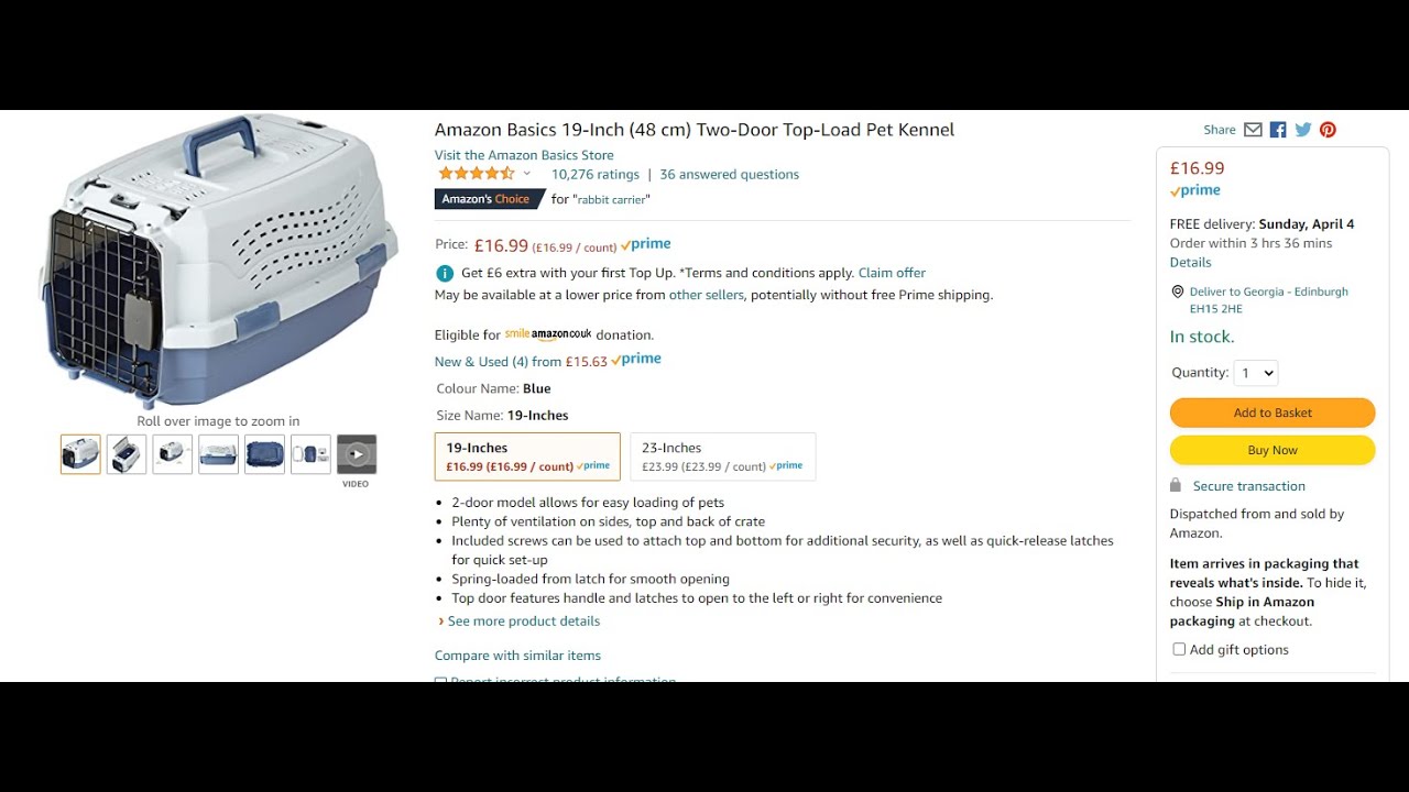 Amazon Basics Pet Carrier Review [] The Best Cheap Cat Carrier?