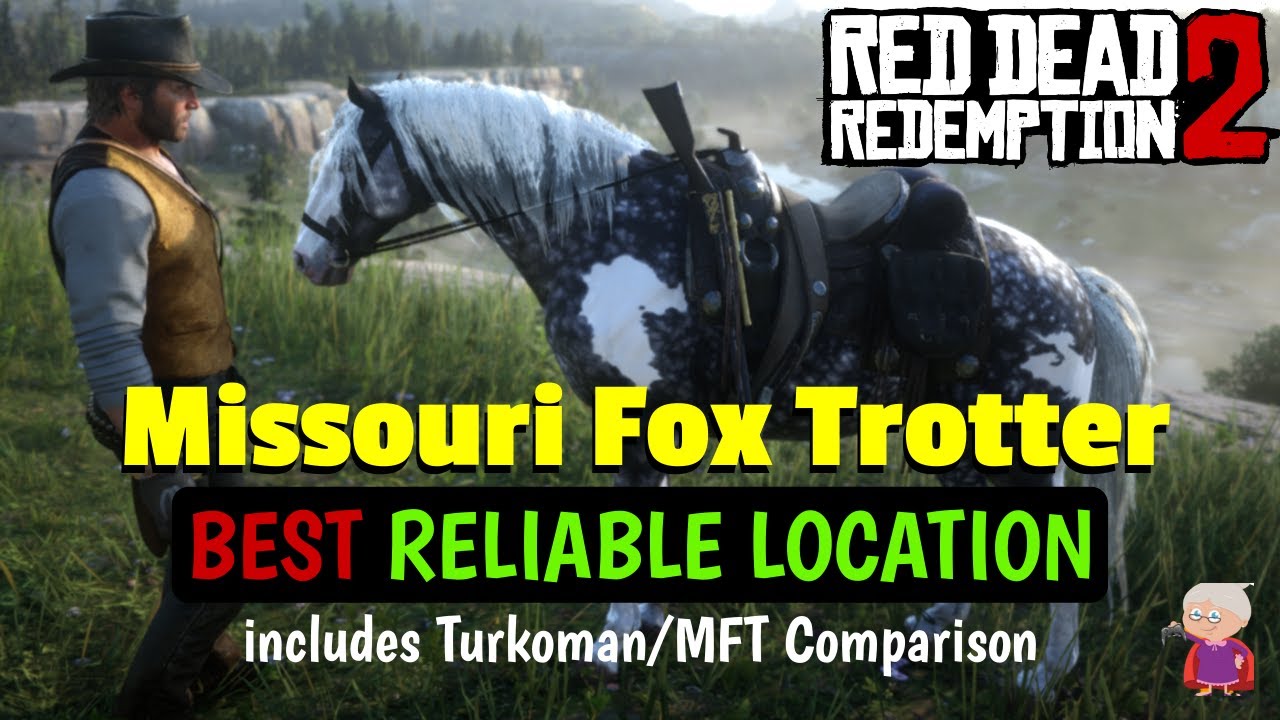 Fed up of trying to get the Missouri Fox Trotter? This EASY METHOD actually WORKS! - RDR2