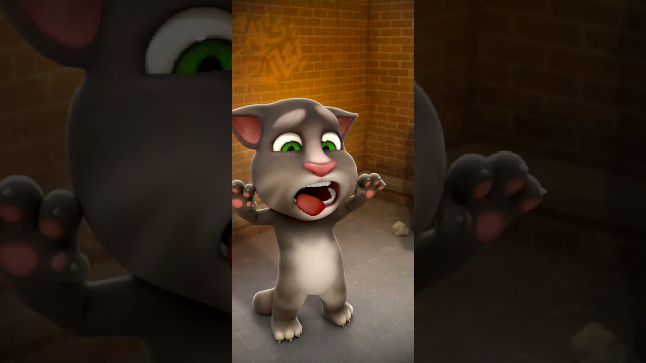 Talking Tom Cat New Video Best Funny Android GamePlay #10133