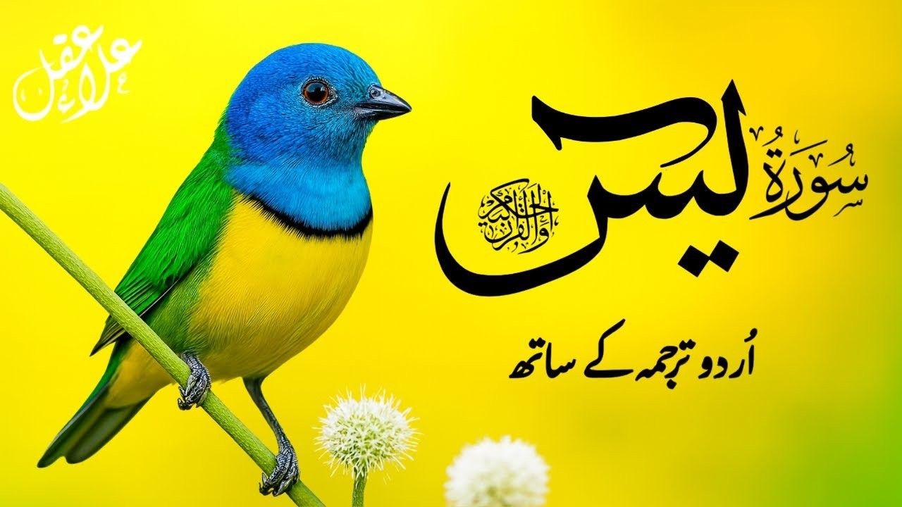The Best Surah Yaseen ( Yasin ) With Urdu Translation | Infinite Holy Quran | EP093