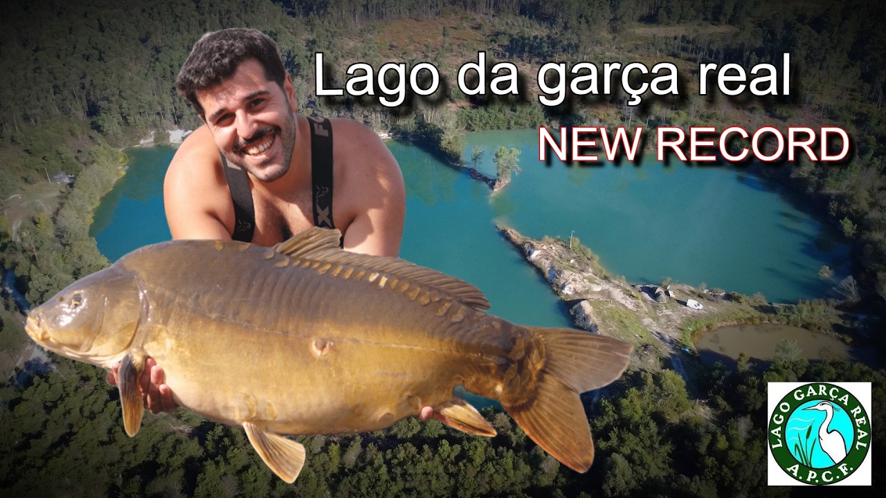 Loucura no LAGO DA GARÇA REAL        / CARPFISHING Madness at the Royal Heron Lake