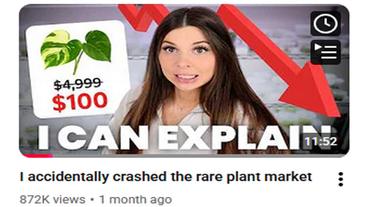 She DESTROYED The Plant Market