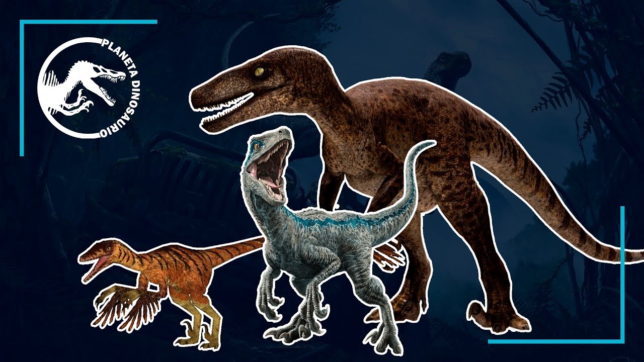 Los 7 familiares del Velociraptor