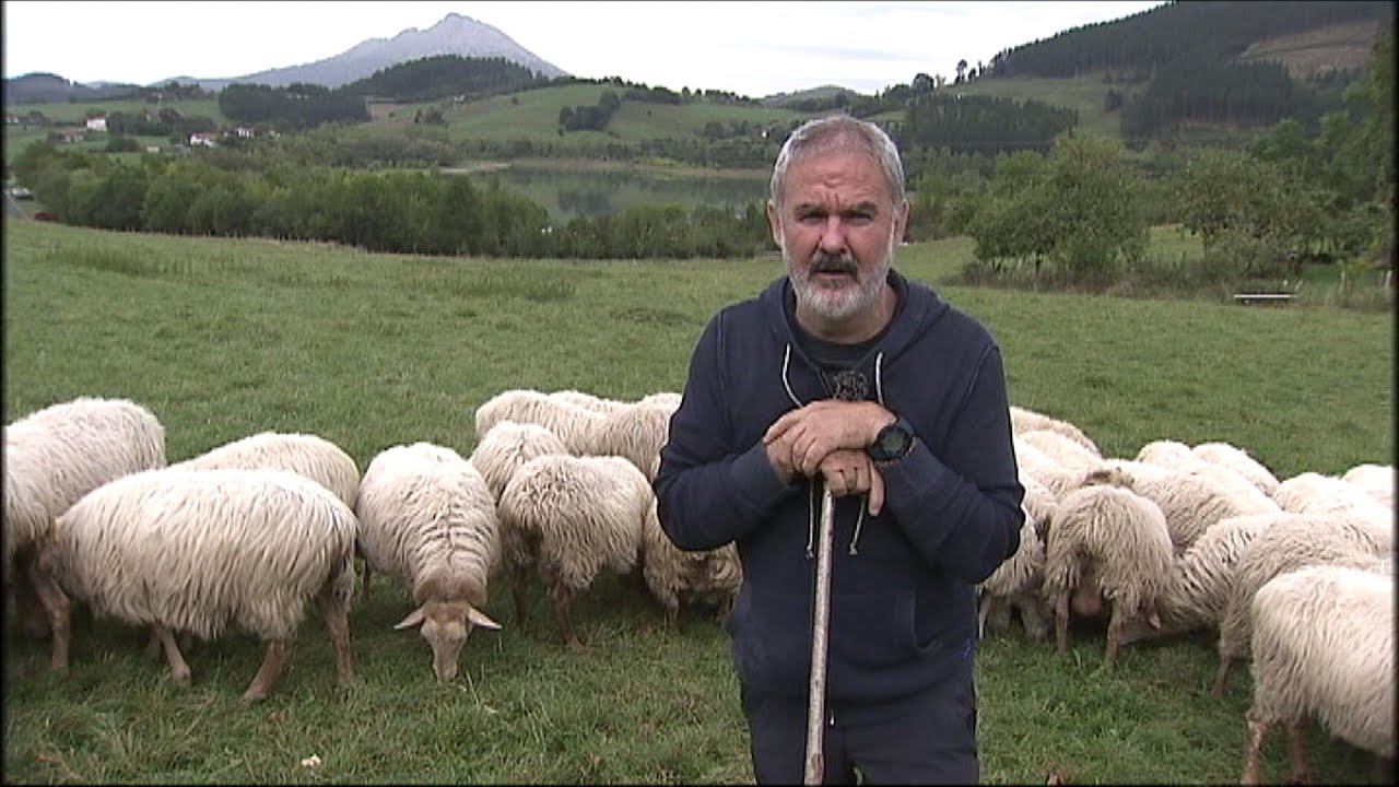 SUSTRAIA: Valoración de la lana, Askibil y Baserritik Zuretzat