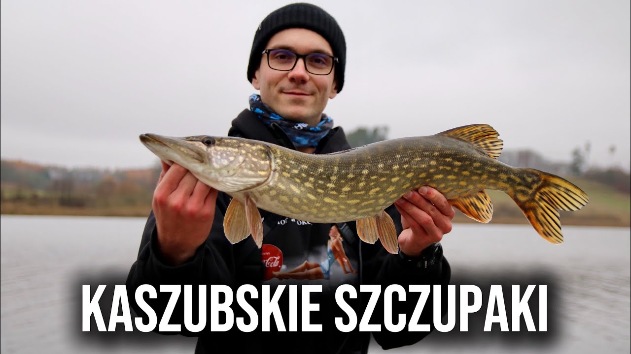 Jesienne Szczupaki na Spinning | Wędkarstwo na Kaszubach