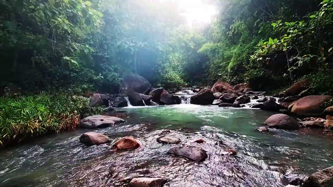 Soothing Water Flow and Birdsong ASMR - Natural White Noise for Sleeping, Studying, and Meditation